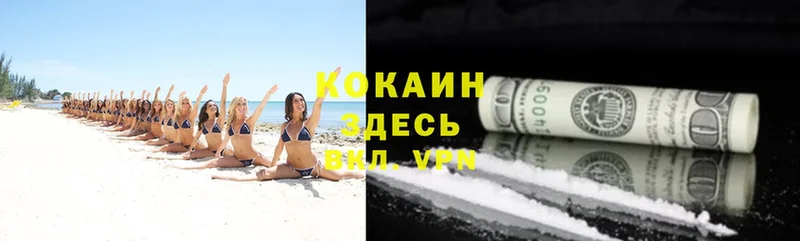 COCAIN Columbia  как найти   mega   Калининск 