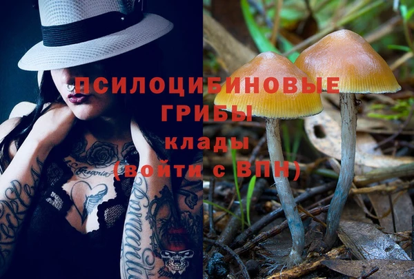 PSILOCYBIN Белоозёрский